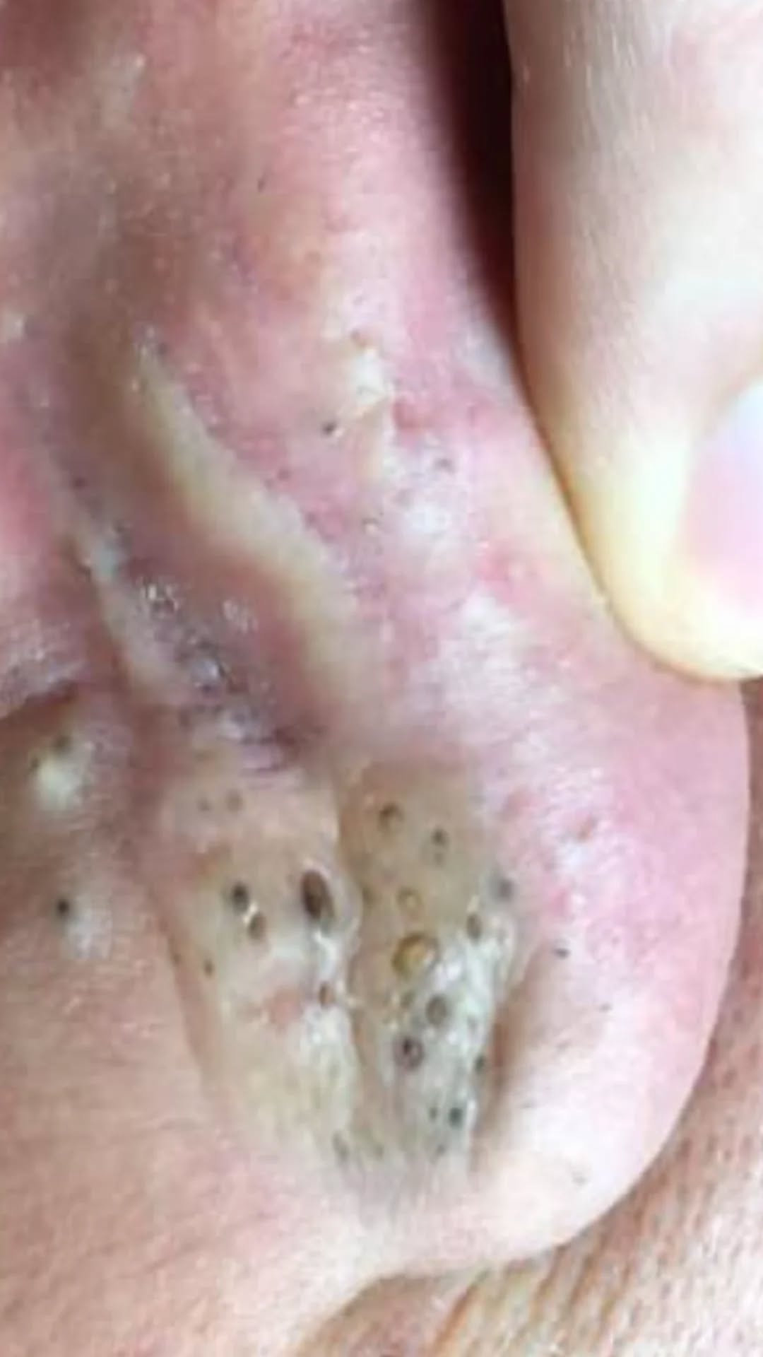 The Mermaid: Lake of the Dead